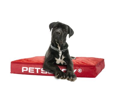 Honden zitzak 'Dog Bed Large' Red - Rood - Weerbestendig - Sit&Joy