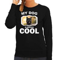 Cairn terrier honden sweater / trui my dog is serious cool zwart voor dames