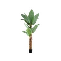 Kunstplant echte touch bananenboom - M