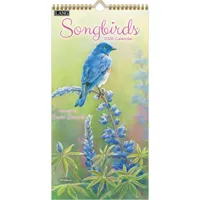 Songbirds Kalender 2026 Small