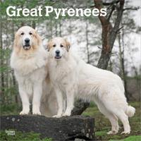 Pyreneese Berghond Kalender 2026