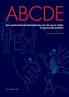 ABCDE - A.J. Alkemade - ebook