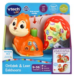 VTech Baby Ontdek & Leer Eekhoorn