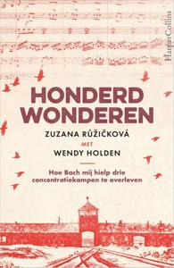 Honderd wonderen (Paperback)