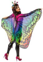 Cape Vlinder Multikleur