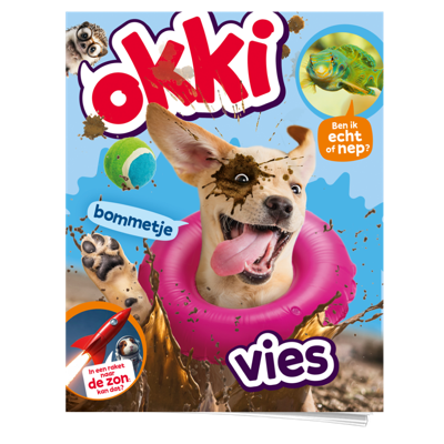Okki | Basis abonnement