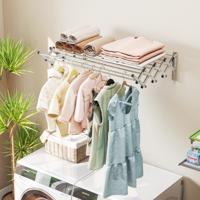 Droogrek voor Wandmontage Uittrekbaar van Roestvrij Staal met 8 Stangen 25 kg Draagkracht voor Bijkeuken Badkamer