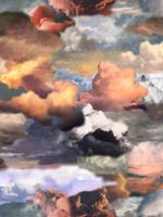 Moooi Carpets - Walking on Clouds Dawn - 350x350 cm Vloerkleed