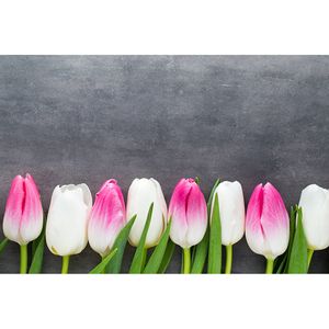 Inductiebeschermer - Witte en Roze Tulpen - 59x52 cm