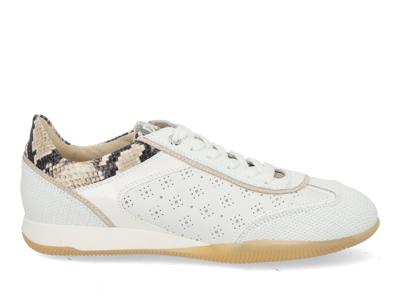 DL Sport 6947 vers 01 bianco Wit maat 41