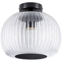 Paulmann 71146 Ruya Plafondlamp E27 Glas, Zwart (mat)