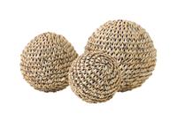 MUST Living Ornament 'Beach Shell' Schelpen, Set van 3 stuks