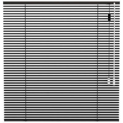 Leen Bakker - Fenstr Jaloezie 25mm Standaard Lak - Donker (20518) - Aluminium - Grijs - 120x10x10 Cm