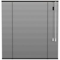 Leen Bakker - Fenstr Jaloezie 25mm Standaard Lak - Donker (20518) - Aluminium - Grijs - 120x10x10 Cm