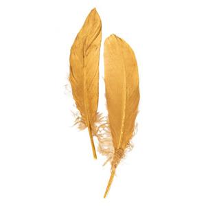Hobby/knutsel Ganzenveer/sierveer - 10x stuks - goud - 18-22 cm - decoratie
