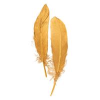 Hobby/knutsel Ganzenveer/sierveer - 10x stuks - goud - 18-22 cm - decoratie Hobby/knutsel Ganzenveer/sierveer - 10x stuks - goud - 18-22 cm - decoratie