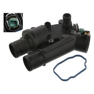 Thermostaat 36037