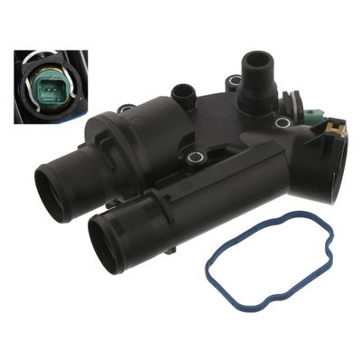 Thermostaat 36037