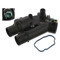 Thermostaat 36037