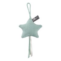 Baby's Only decoratiester Classic Mint Maat