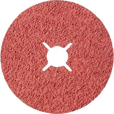 Rhodius 307095 Fiberschijf Diameter 125 mm Boordiameter 22.23 mm RVS, Staal 1 stuk(s)