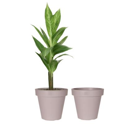 Pro Garden Bloempot - 2x - taupe - rond - D50 cm - kunststof - plantenpot - tuin buiten