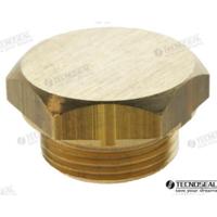 Ánodos para Badouin TEN02300TP - TAPON PARA BOUDOUIN D.20 TEN02300T