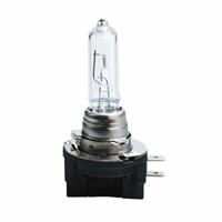 Gloeilamp voor de auto M-Tech Z85 12 V Halogeen 65 W