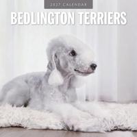 Bedlington Terrier Kalender 2027