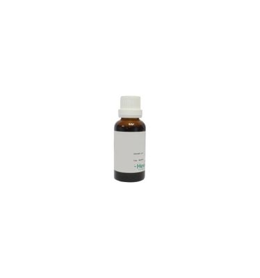 Sambucus nigra phyto
