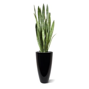 Sanseveria kunstplant 130cm - groen