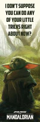 Poster Star Wars The Mandalorian Special Tricks 53x158cm