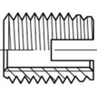 Alstertaler Schrauben & Präzisionsteile 1070030 Schroefdraad inzet M16 22 mm 10 stuk(s)