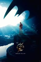 Poster DC Comics The Flash 61x91,5cm