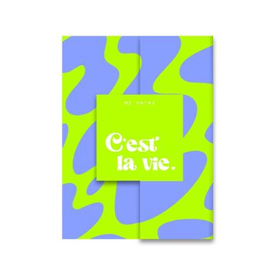 My notes - C&apos;est la vie. (Hardback)