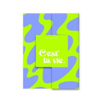 My notes - C&apos;est la vie. (Hardback)