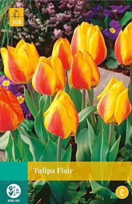 Tulipa Flair 8 bollen - Jub