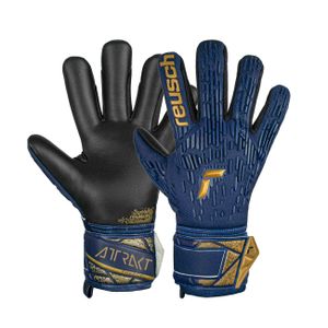 Reusch Attrakt Freegel Silver - Blue/Gold/Black