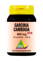 SNP Garcinia cambogia 500mg puur