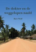 De dokter en de weggelopen naald (Paperback)