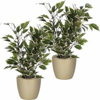 2x stuks groen/witte ficus kunstplanten 40 cm met plantenpot parelgoud D13.5 en H12.5 cm - thumbnail