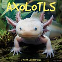 Axolotls Kalender 2026
