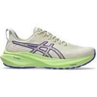ASICS GT-2000 13 TR Heren
