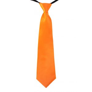 Oranje stropdas 40 cm verkleedaccessoire voor dames/heren   -