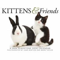 Kittens en Vrienden Scheurkalender 2026 Boxed