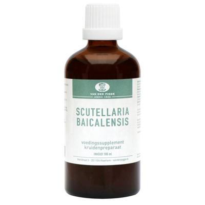 Van der Pigge Scutellaria baicelensis tinctuur