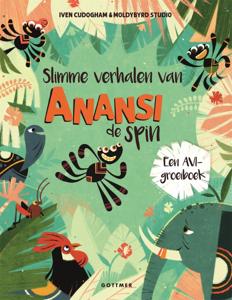 Slimme verhalen van Anansi de spin (Hardback)