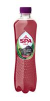 Spa Spa - Cassis Blackberry 400ml 6 Stuks