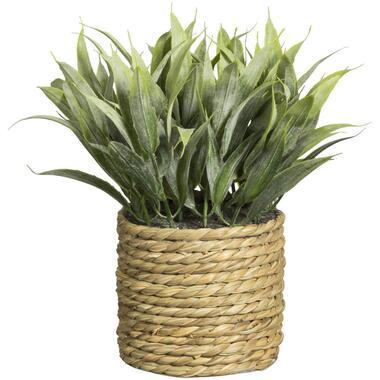 Kunstplant in mand - groen - 17 cm - Leen Bakker
