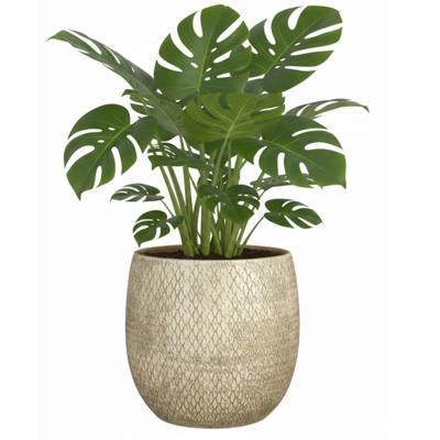 Mica decorations Bloempot / plantenpot Madeira - creme - terracotta - 18 cm - schubbenpatroon